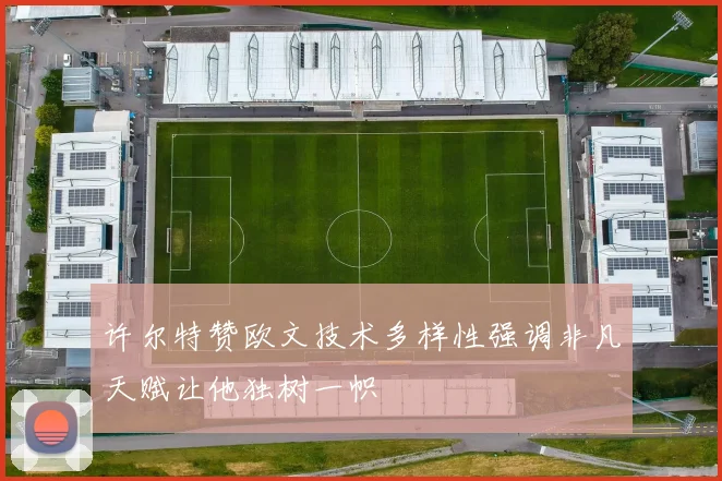 许尔特赞欧文技术多样性强调非凡天赋让他独树一帜