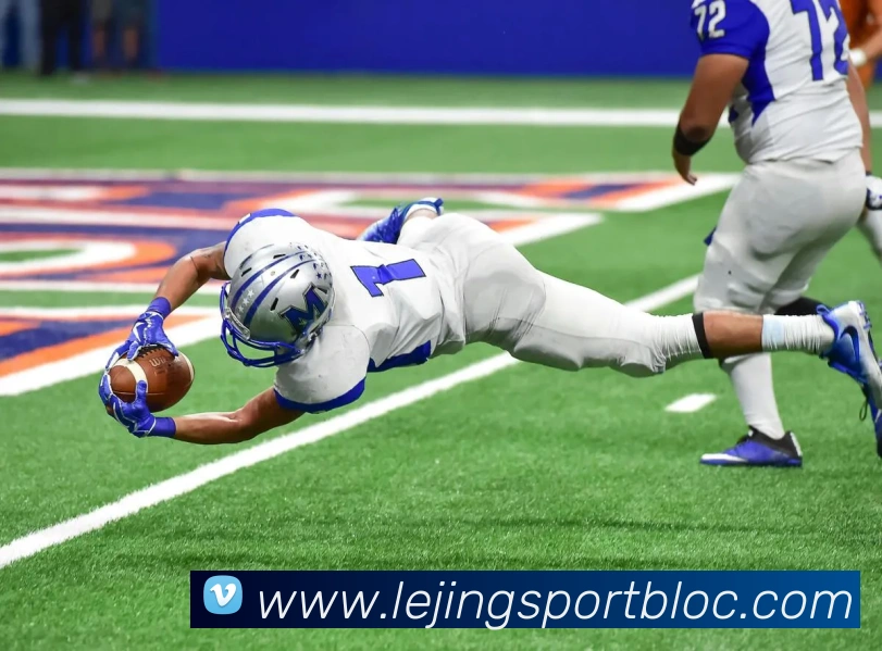 乐竞体育平台生态图