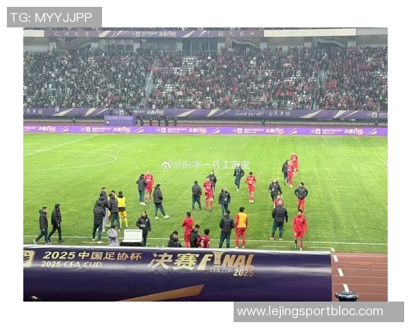 河南球迷热情高涨超21000人齐聚苏州助力足协杯决赛